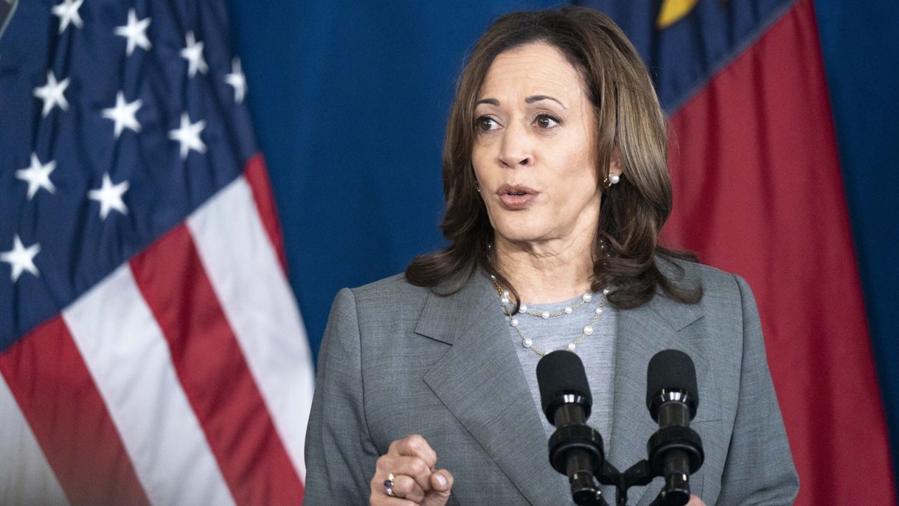 GREENSBORO, NORTH CAROLINA - JULY 11: U.S. Vice President Kamala Harris speaks to a crowd during a campaign event at James B. Dudley High School on July 11, 2024 in Greensboro, North Carolina. Harris continues campaigning ahead of the presidential election as Democrats face doubts about President Biden's fitness in his run for re-election against former President Donald Trump. (Photo by Sean Rayford/Getty Images)