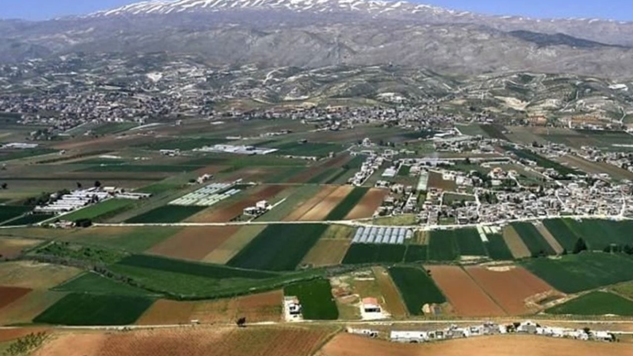 bekaa