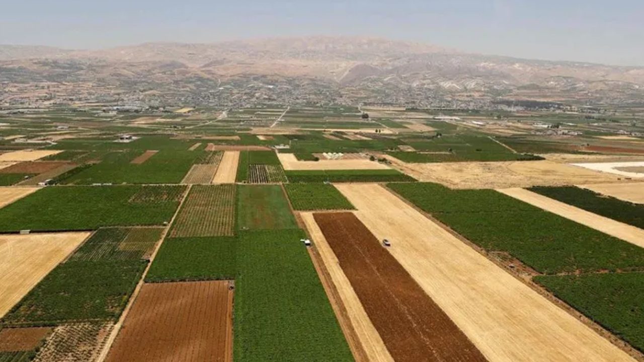bekaa