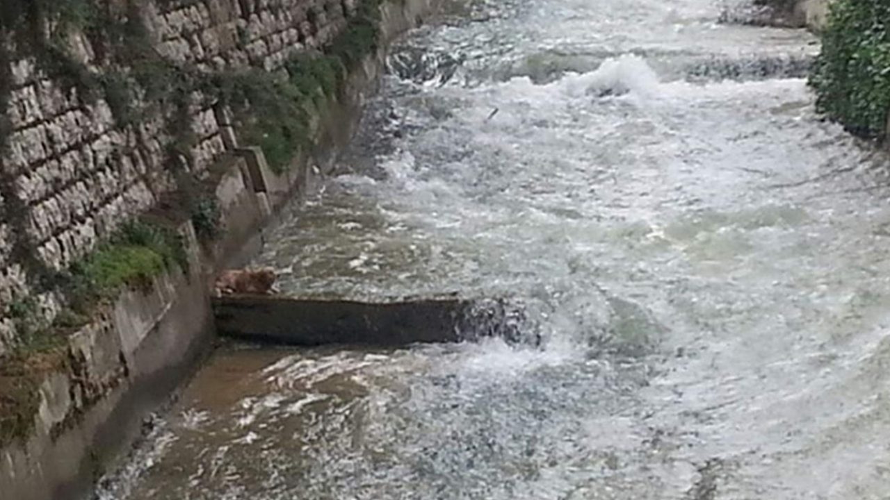 berd-r4ek3w8s12qfgmol32ri830aj15neqilc3c8sr9r1c