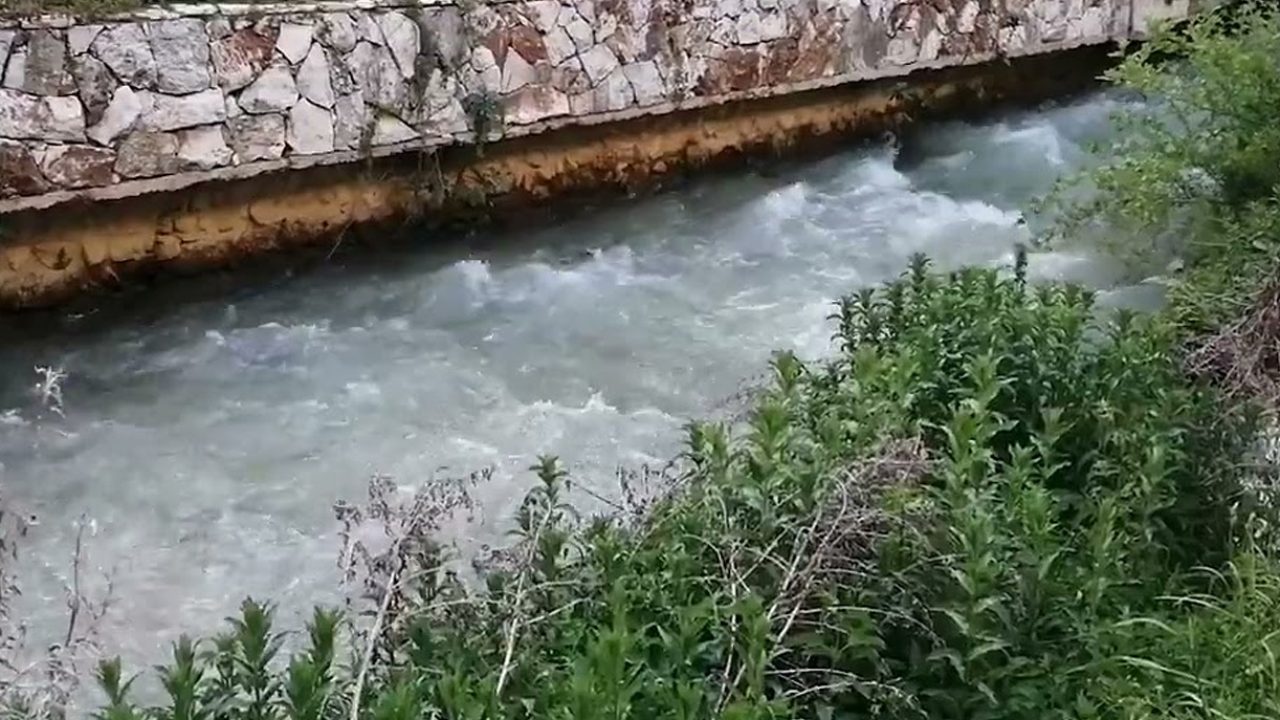 berdawni