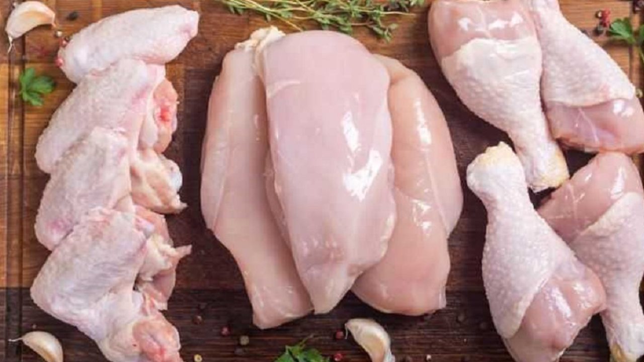 chicken