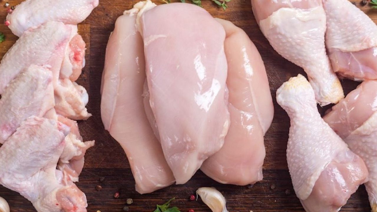 chicken
