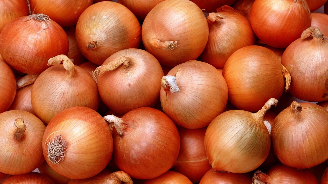 Onion background Onion background