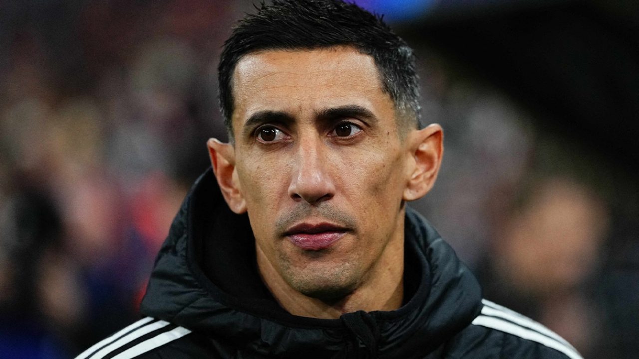 dimaria