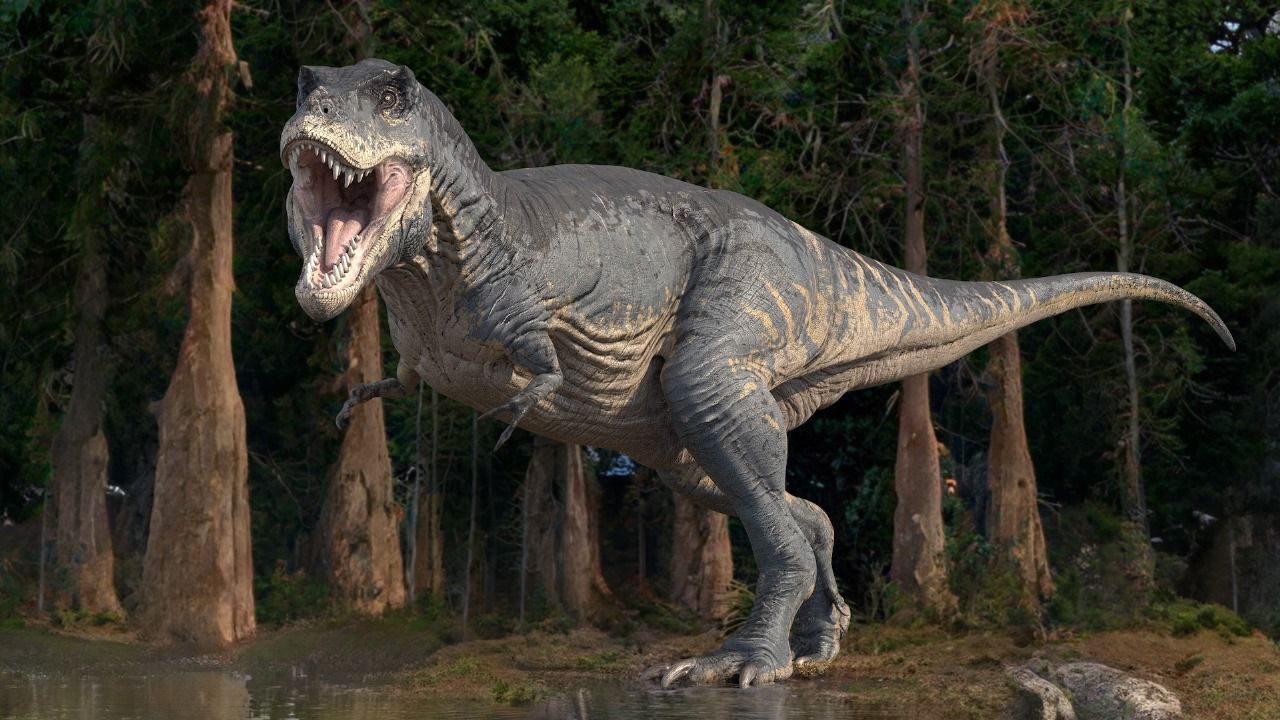 dinosaur