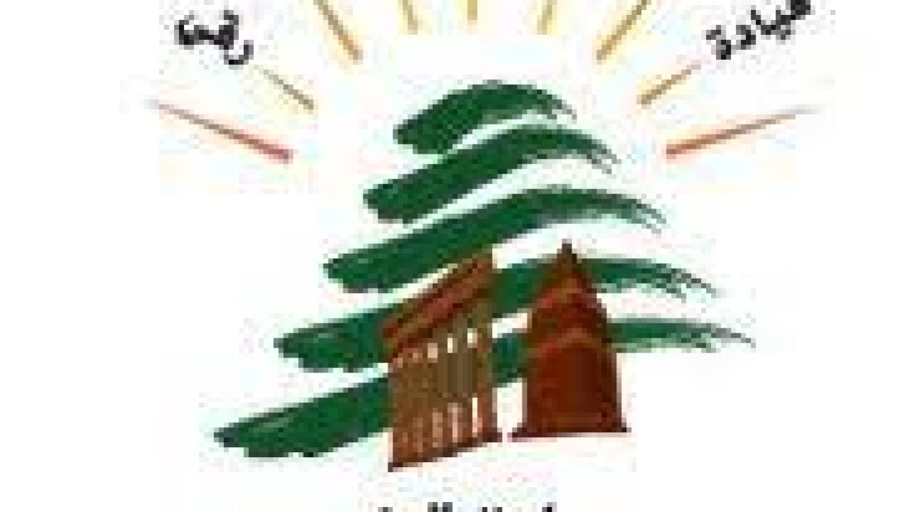 download (4) علي صبري حماده ينشط على خط المعارضة