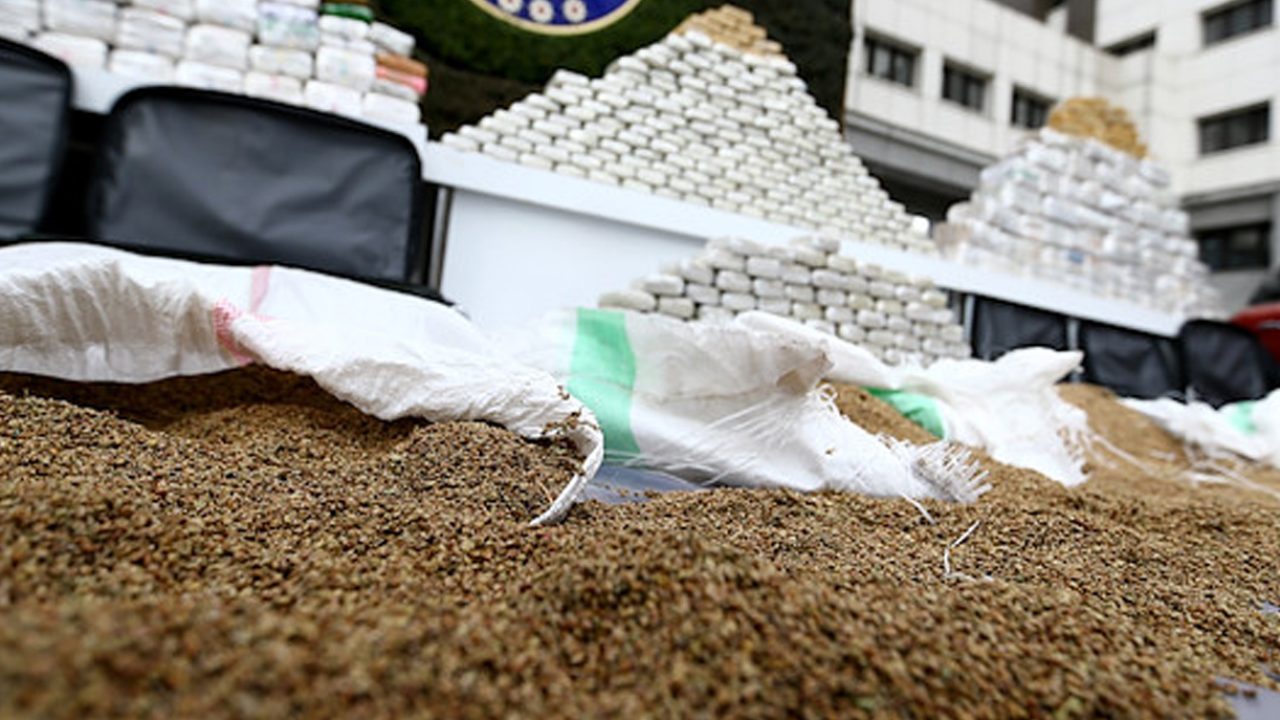 drugs-qtip6k0b0r9ugq6mjelob3fsn9wtlpu8j8m8g8jrxc