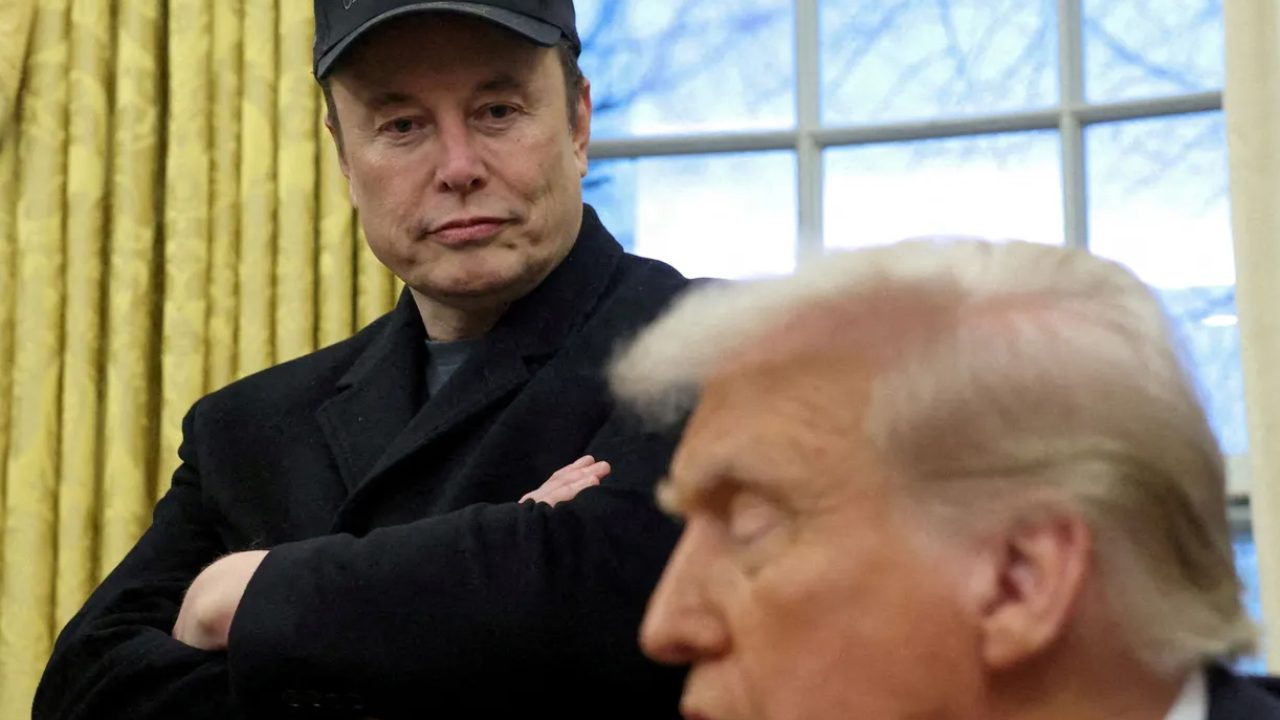 elon