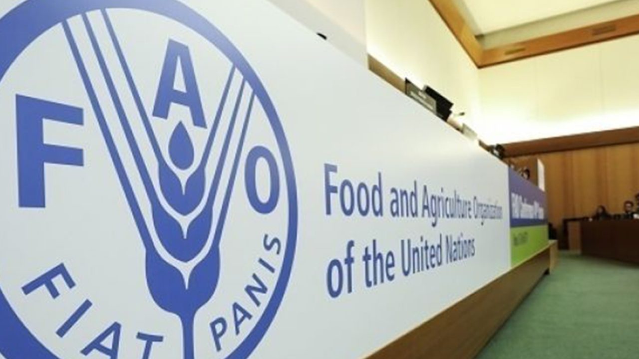 fao