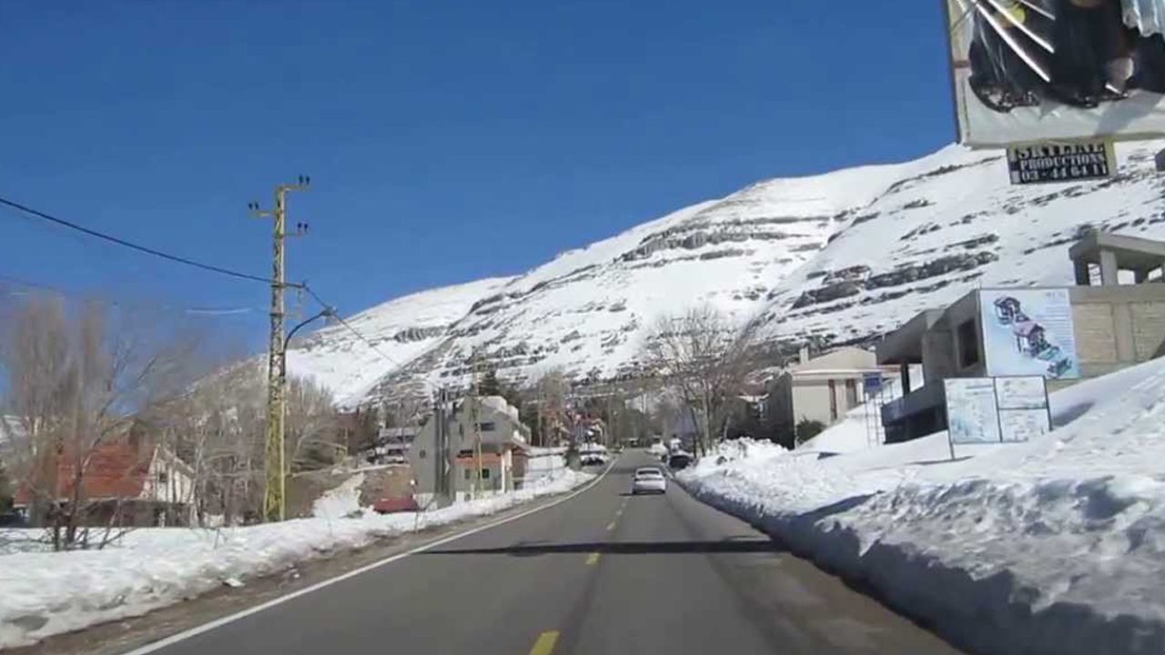 faraya