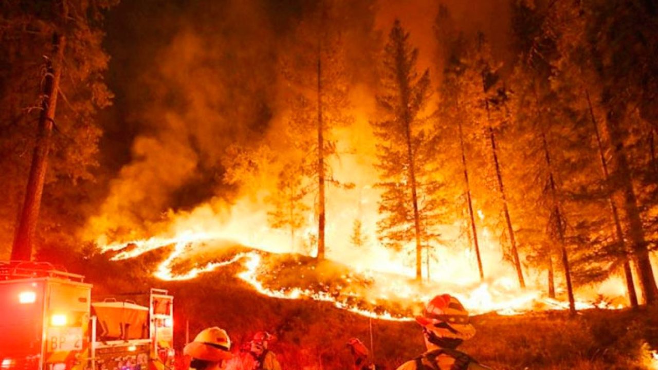 fire fire