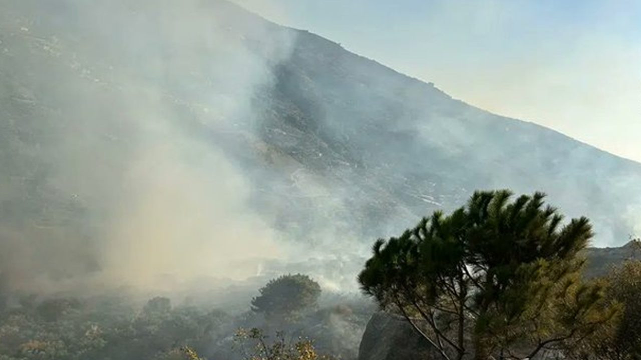 fire-2