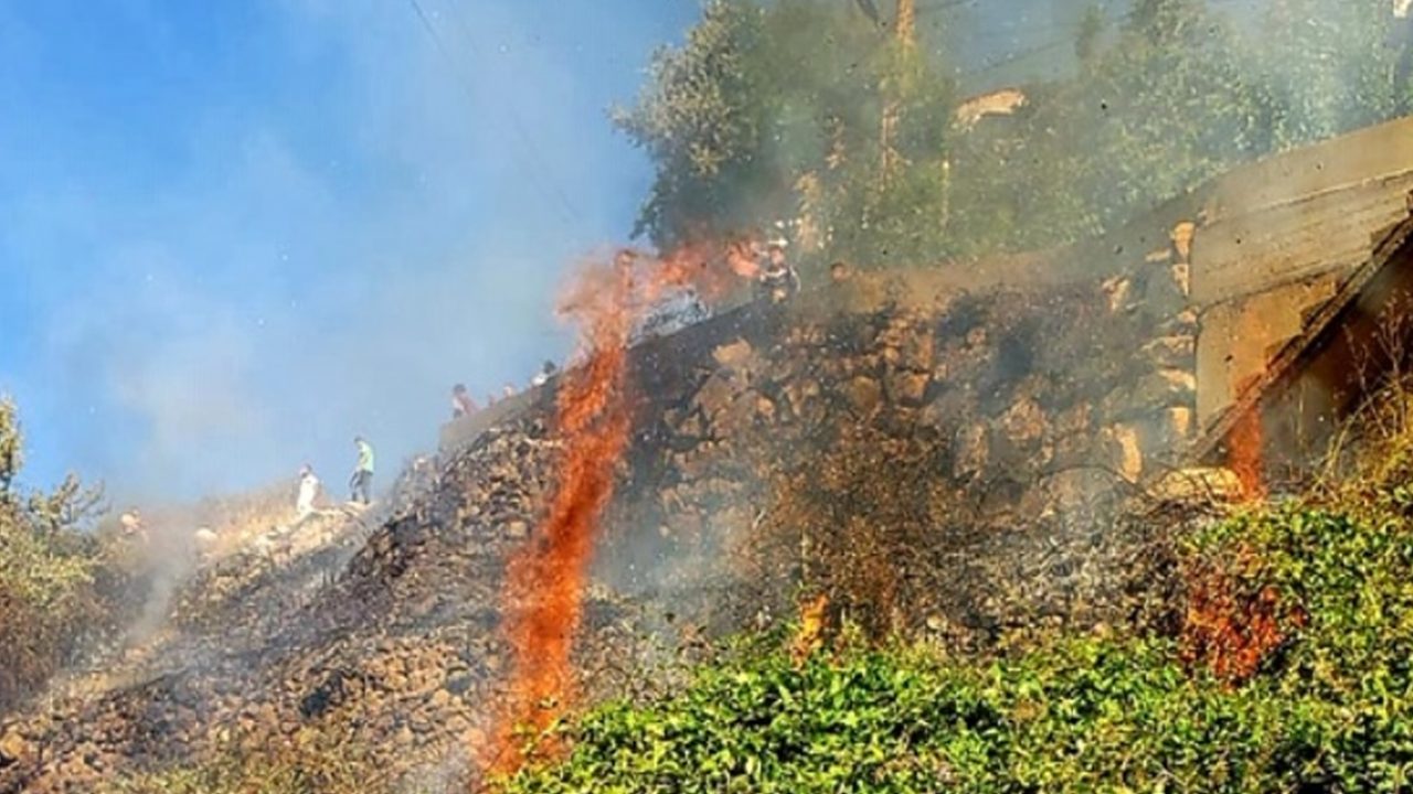 fire
