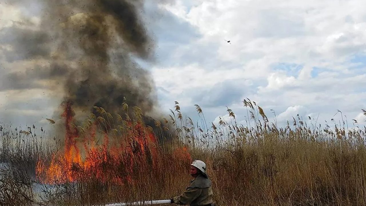 fire