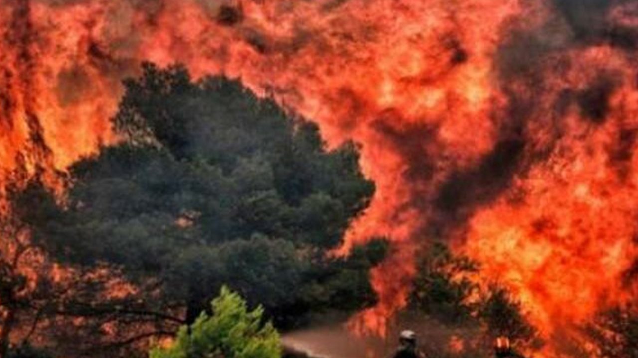fire