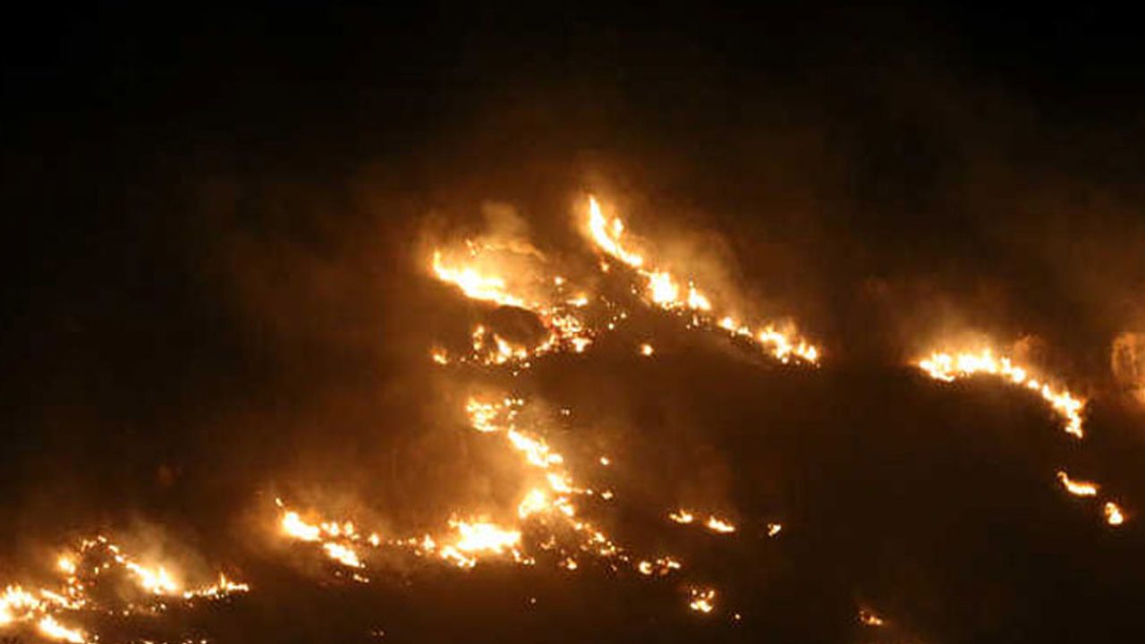 fire-south-lebanon