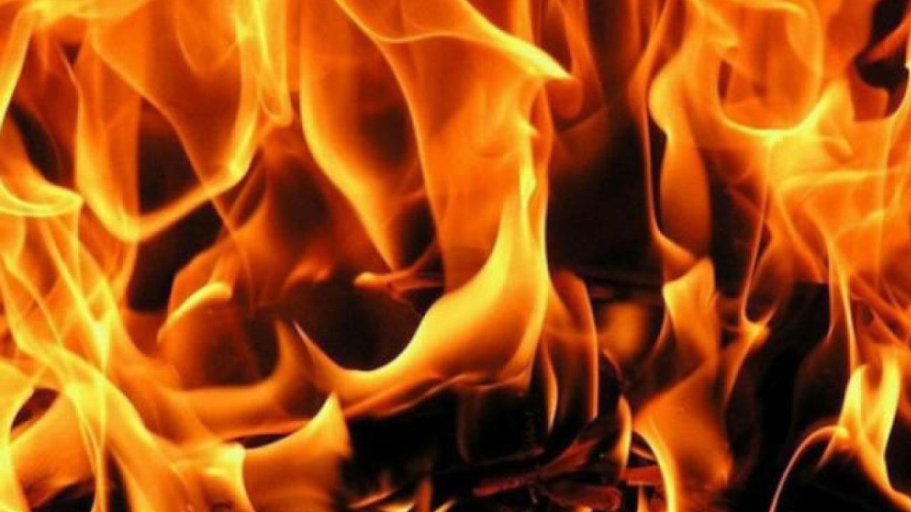 fireee