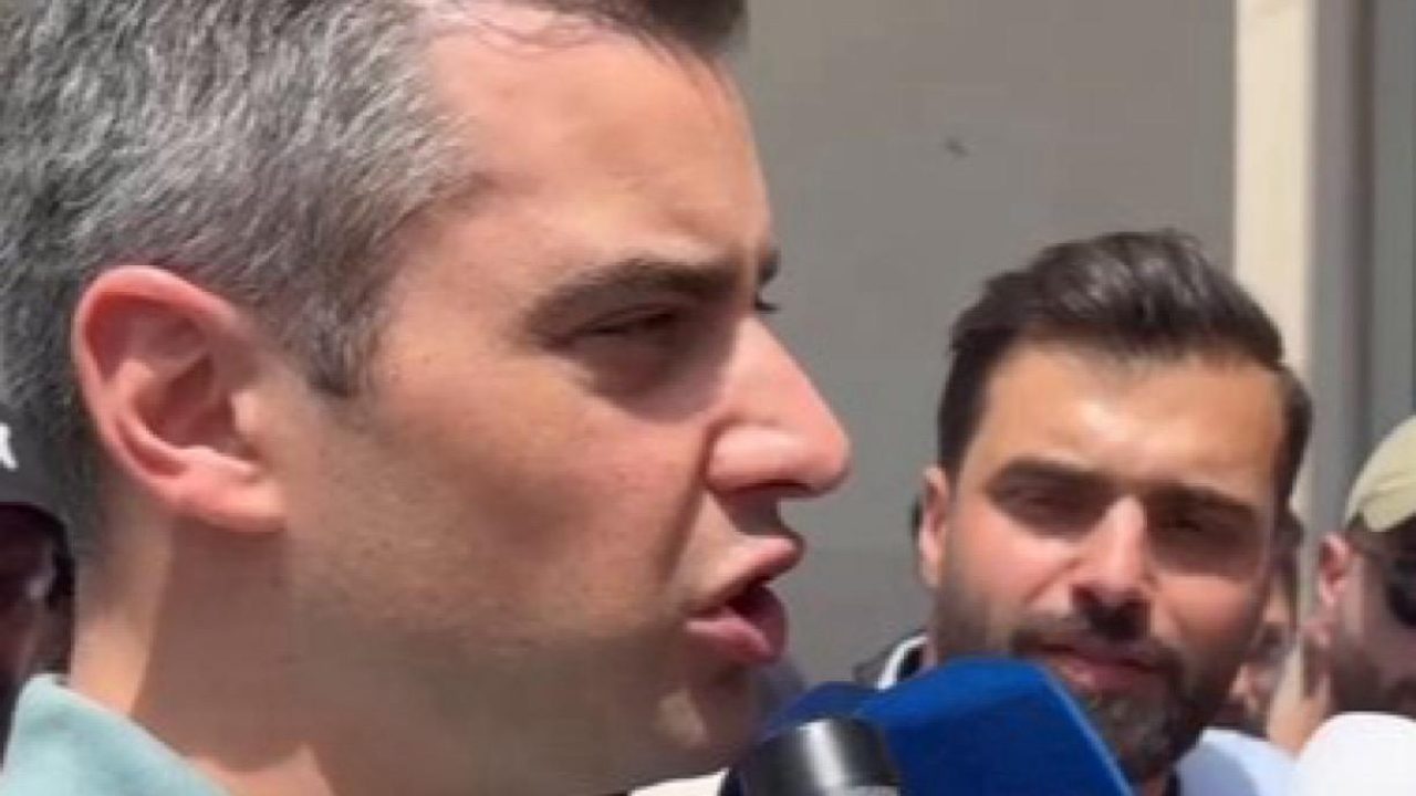 frangieh