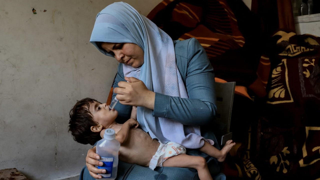 gaza