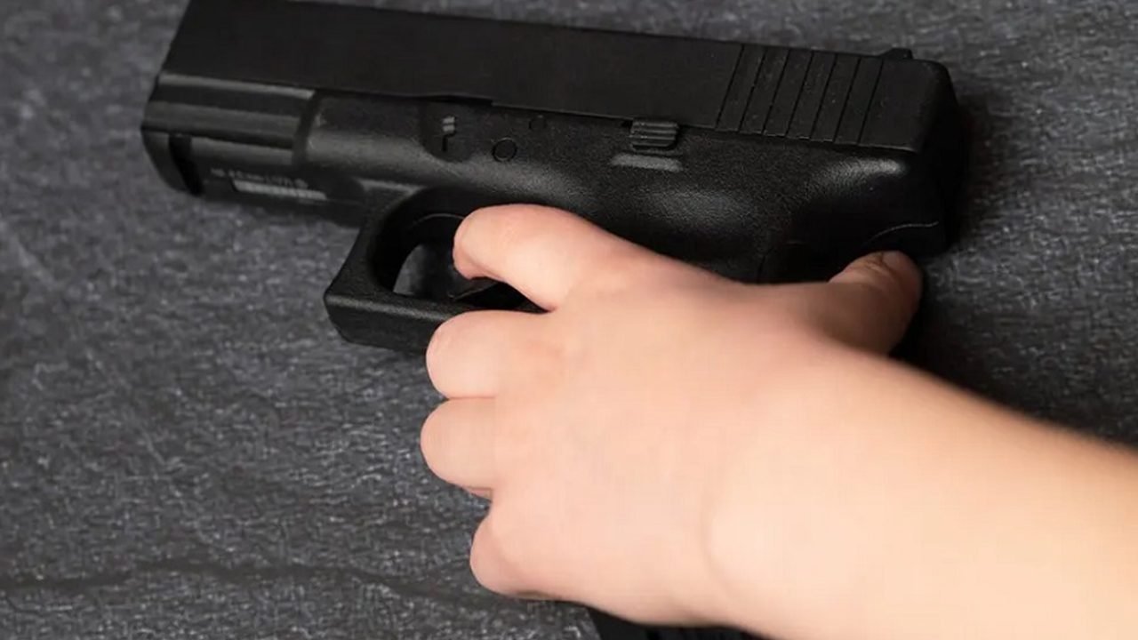gun
