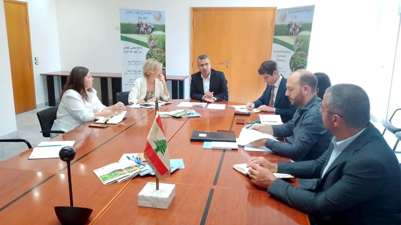 hani seed lebanon