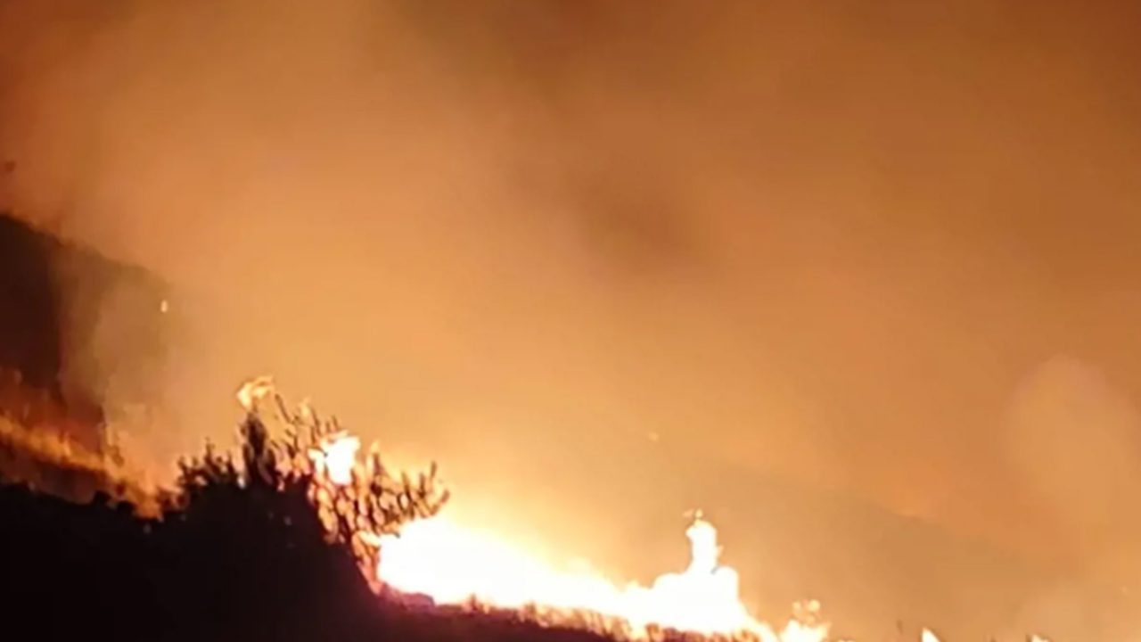 harik-rcc5jems3qvaac0g0yif36p4s41vqryhcz9n4rl928