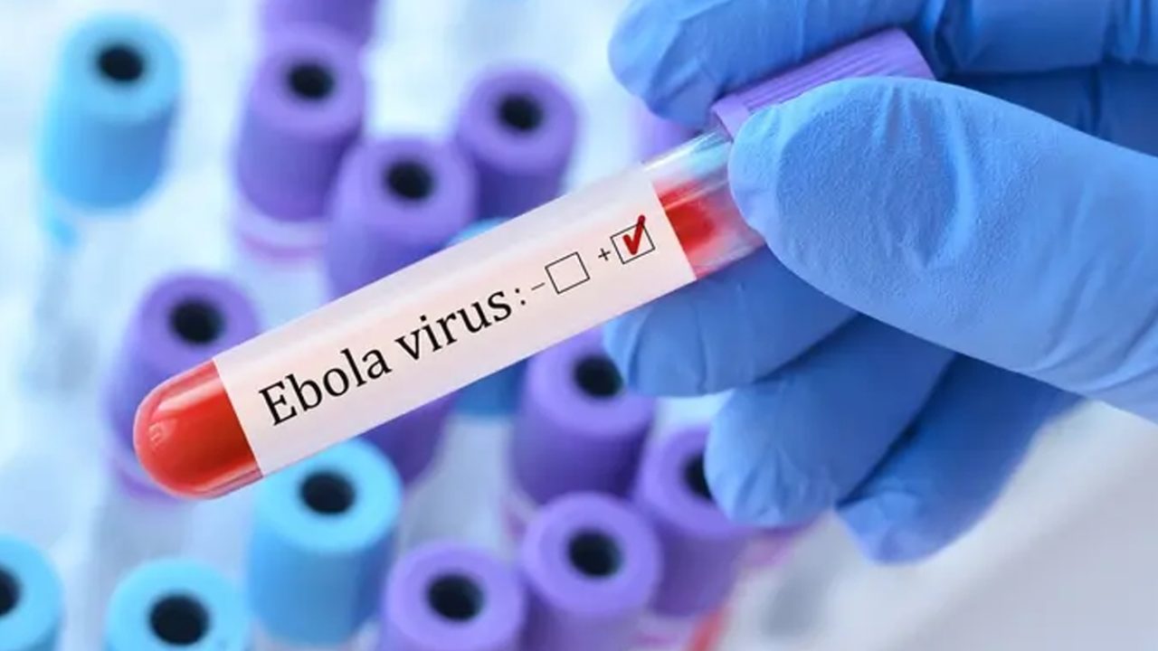 ibola