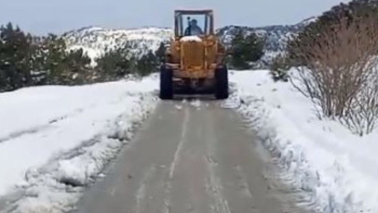 jarafe snow