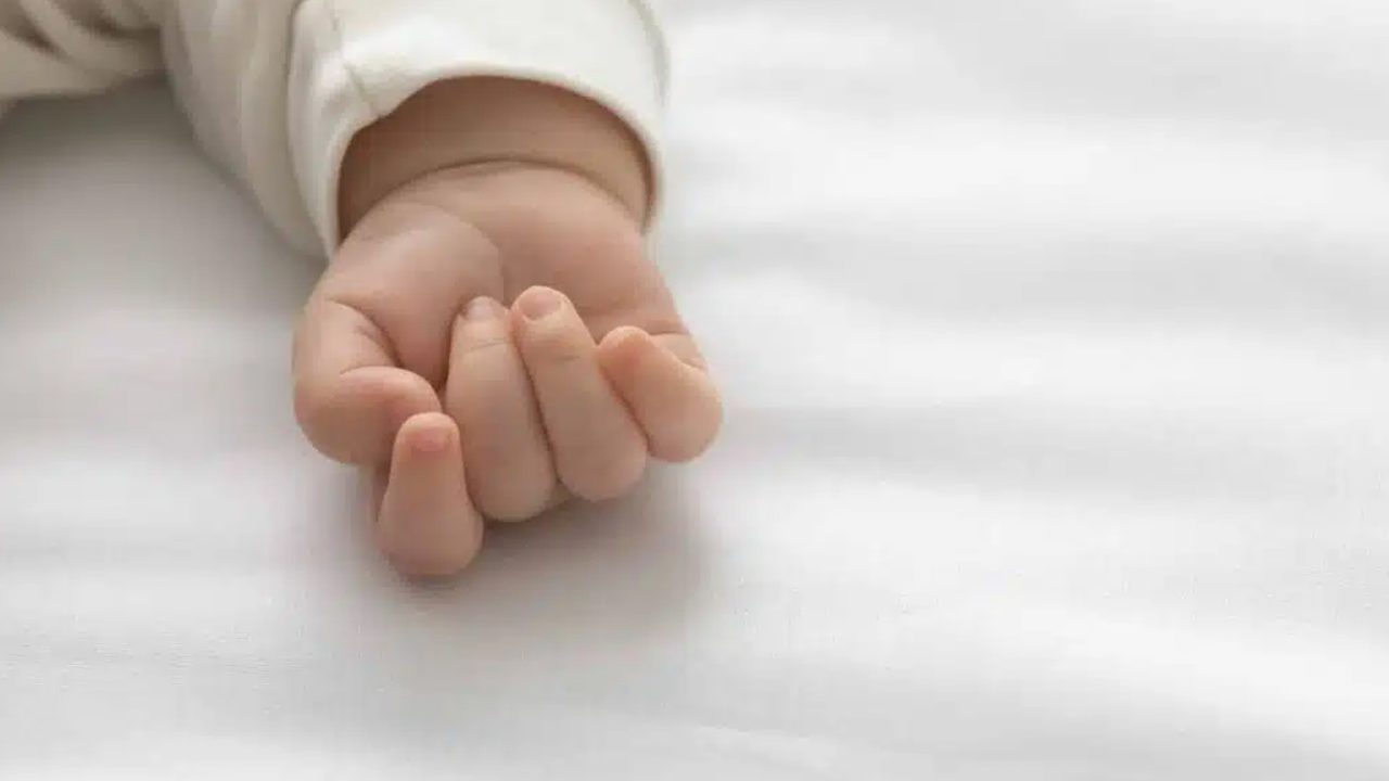 kid-qqc10bvfx3lnzmn08l73nvlm50ijrenwz45q6mcd9c