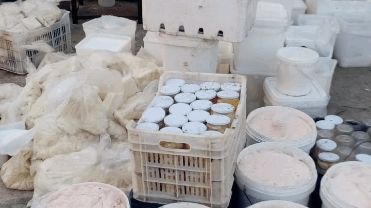 labneh w jebne labneh w jebne