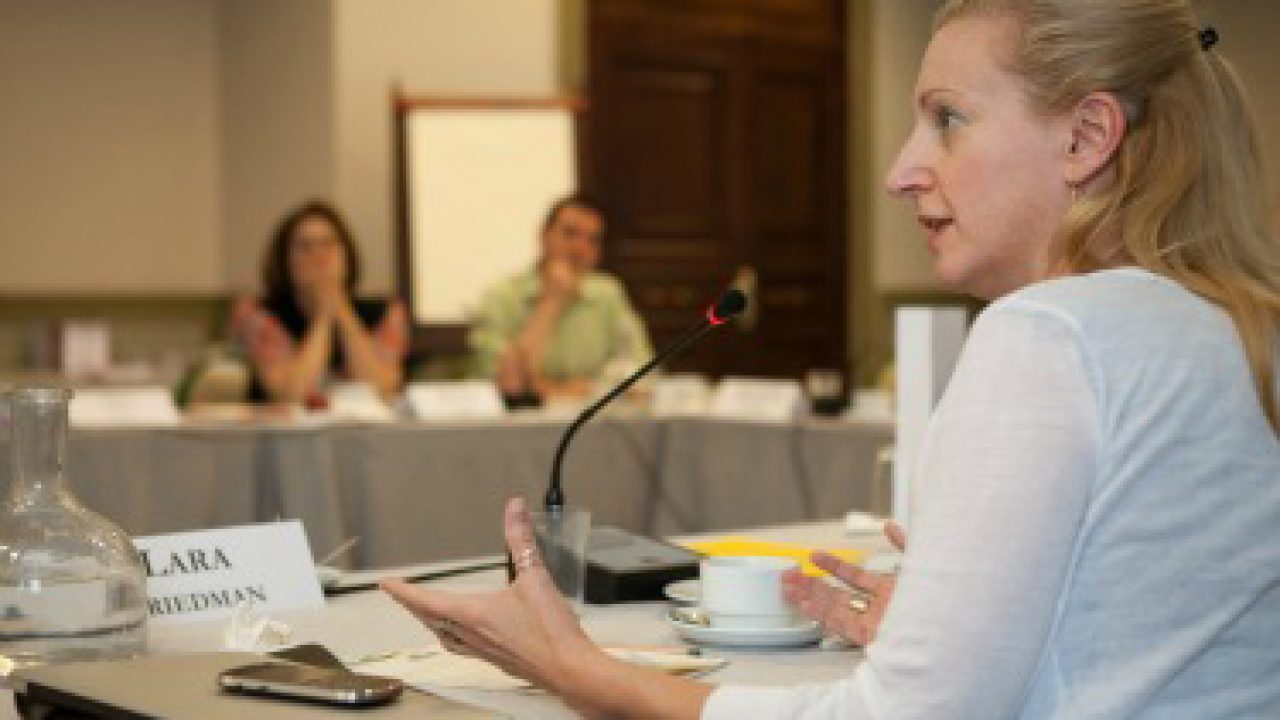 Hollings Centre Conference, Istanbul, July 2012.