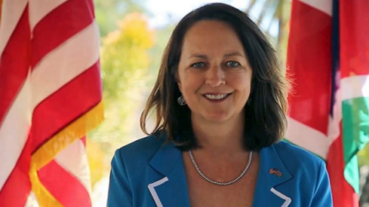 lisa johnson