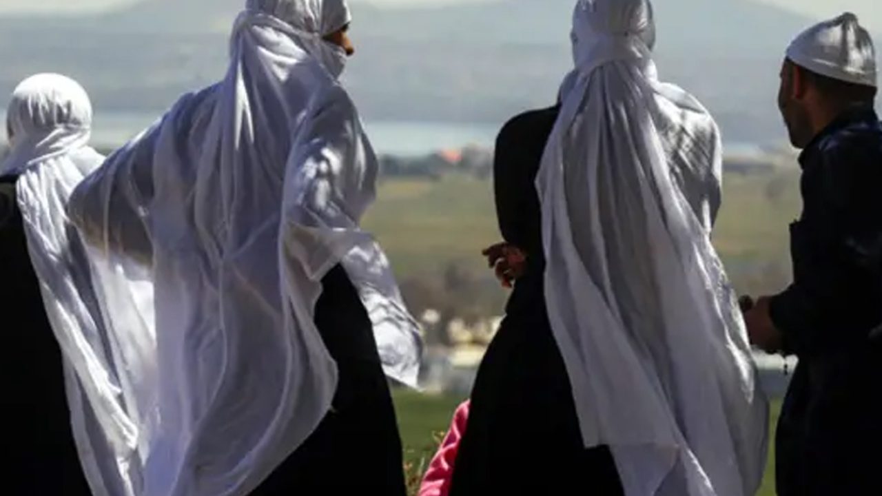 masheyekh masheyekh