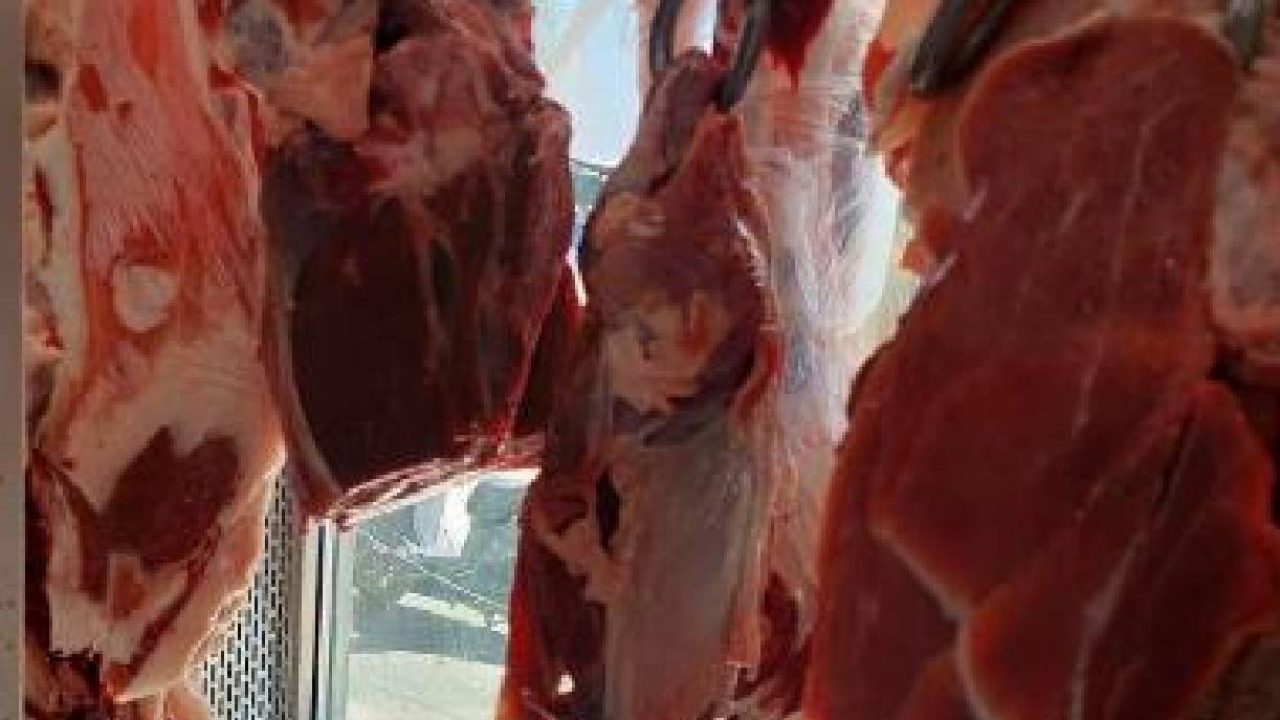 meat-r24o3g7p1yw5sa65nz09iq69iwr6r2y1124uuaz31c meat-r24o3g7p1yw5sa65nz09iq69iwr6r2y1124uuaz31c