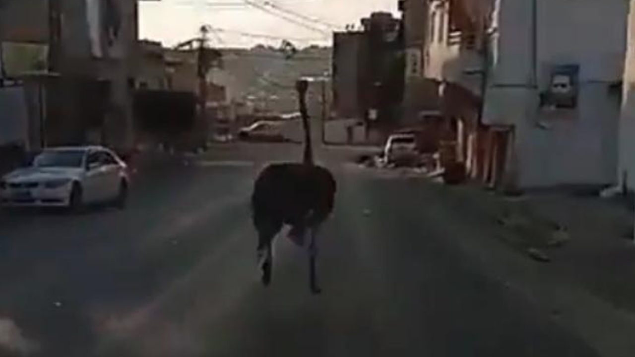 na3ame