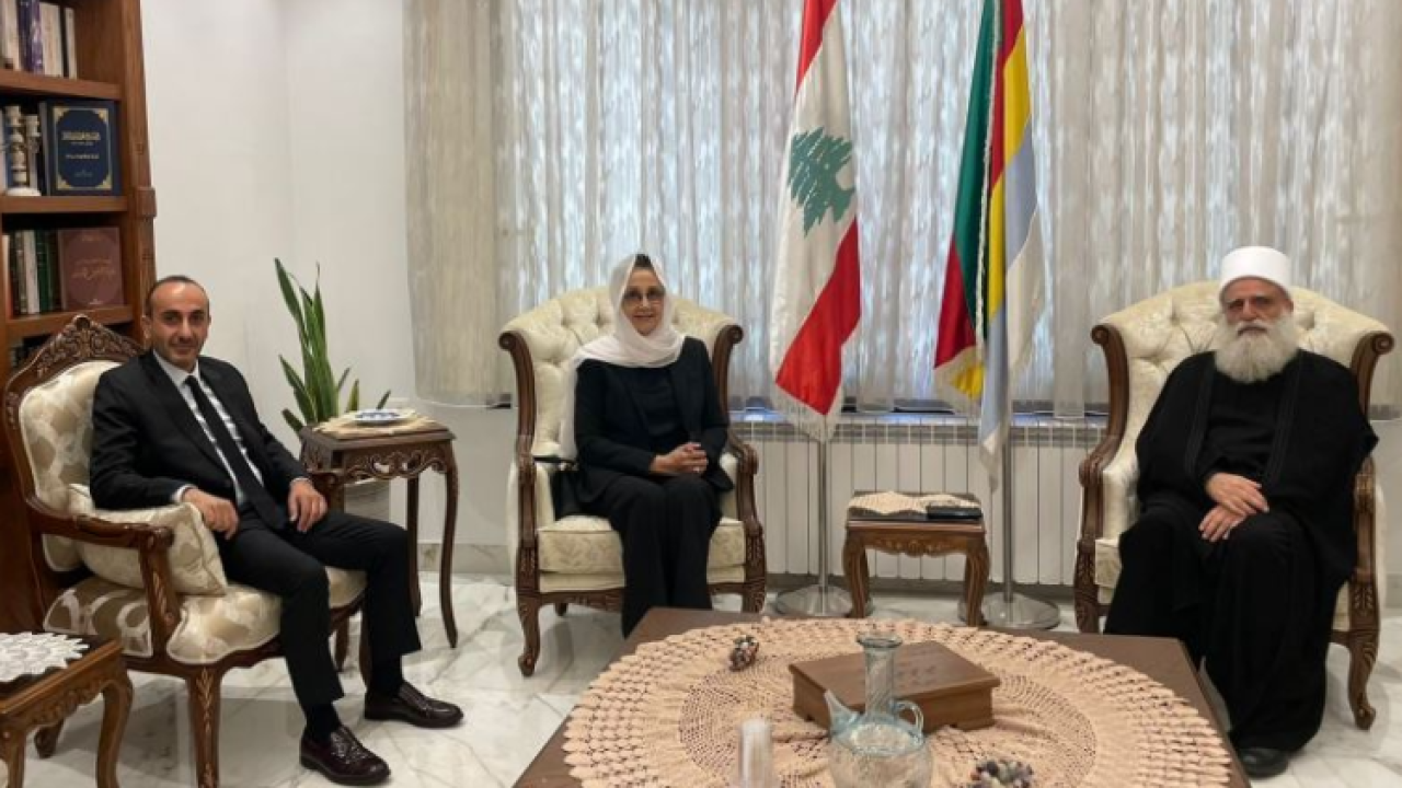 najat aoun saliba