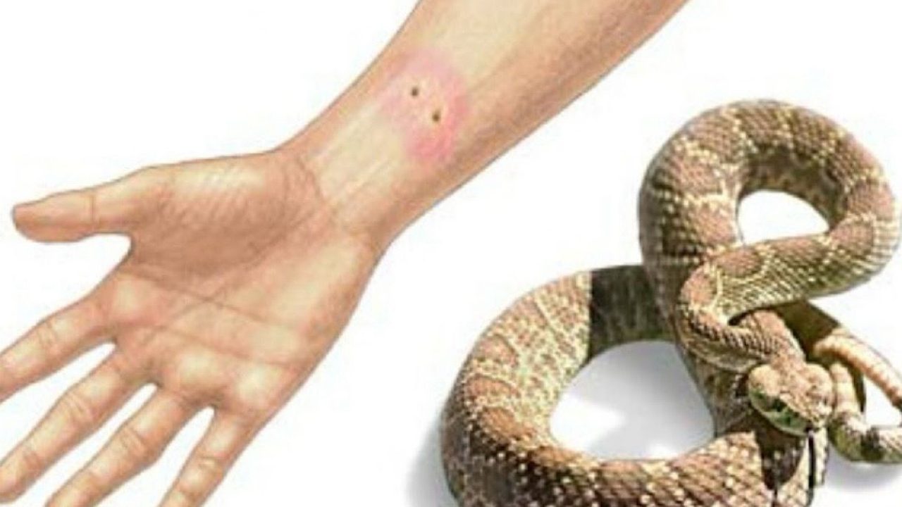 nake