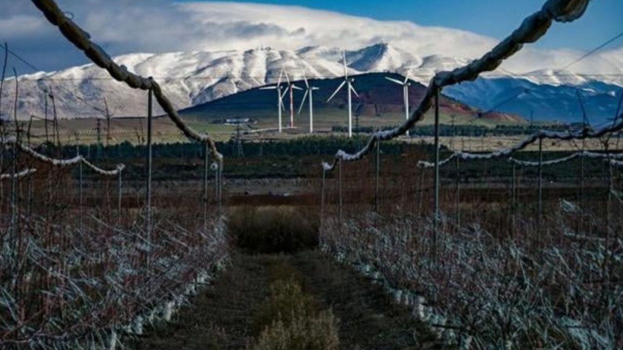 occupied-Syrian-Golan-Heights-2