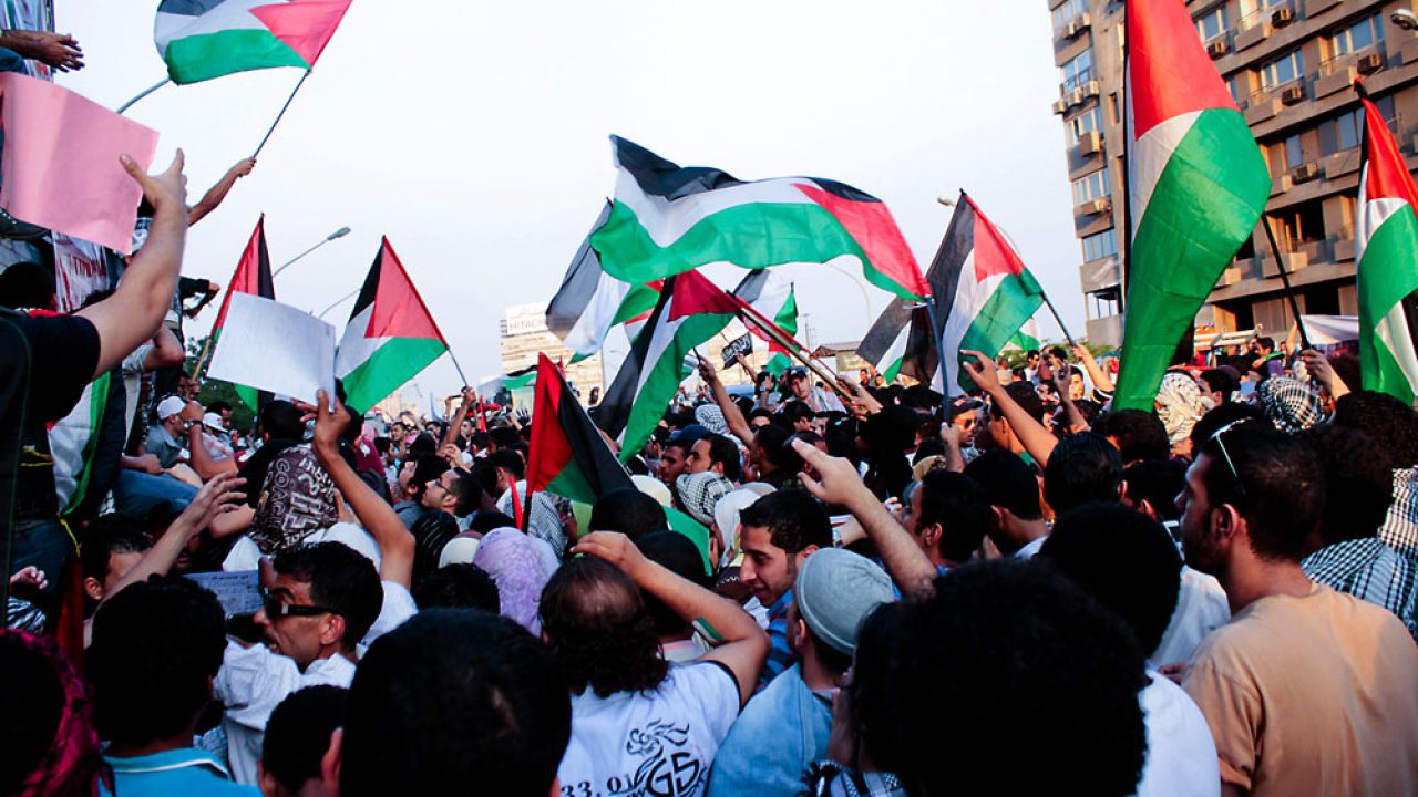 palestinne palestinne