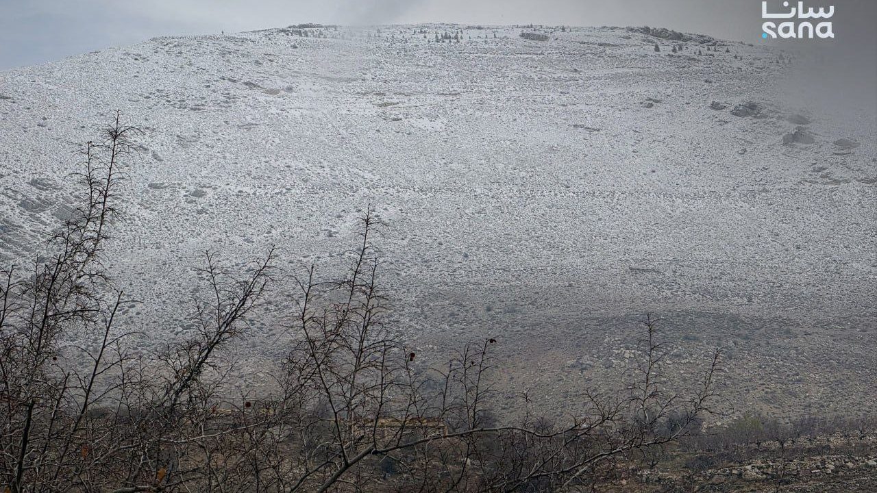 photo_20251216_120907_141645