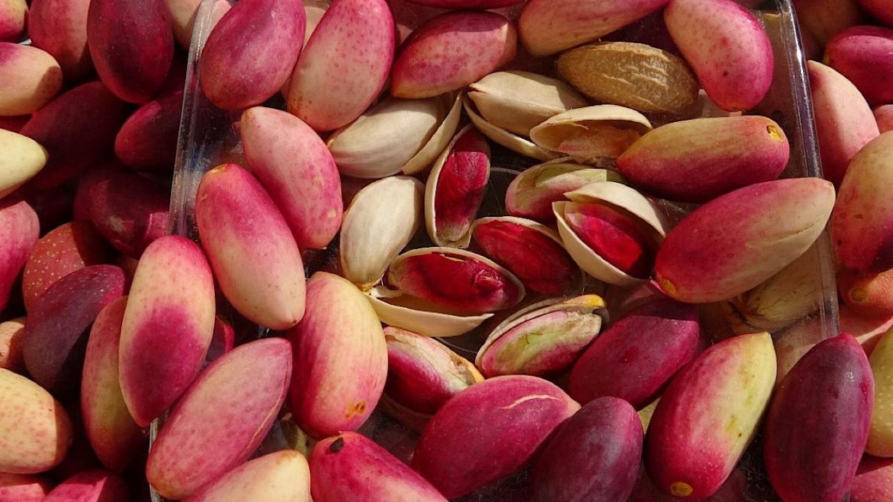 pistachio