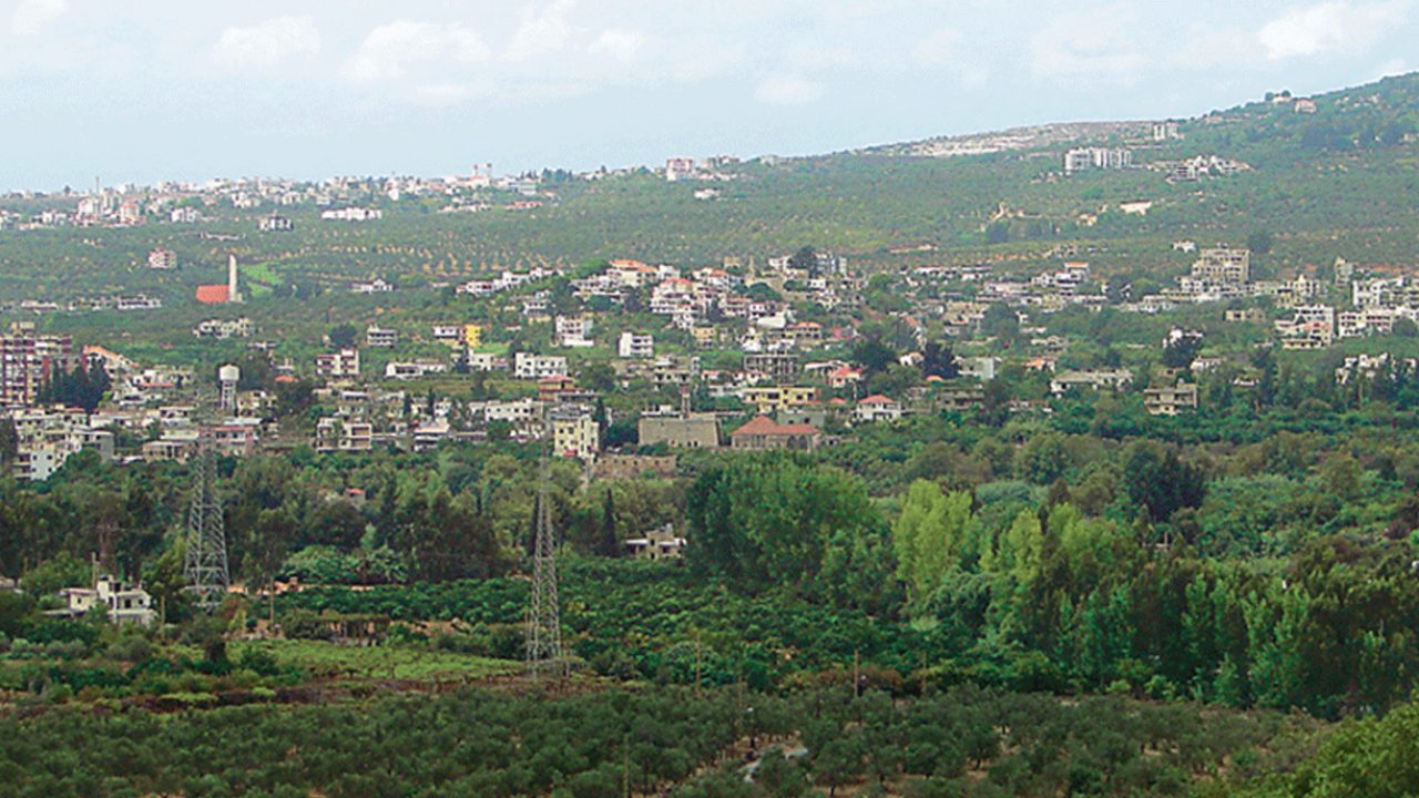 rachiine