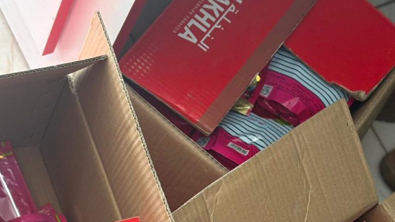 reggie-rdzalis77lmf0v94jnw49t0db53t7fq0k10g5rmq00