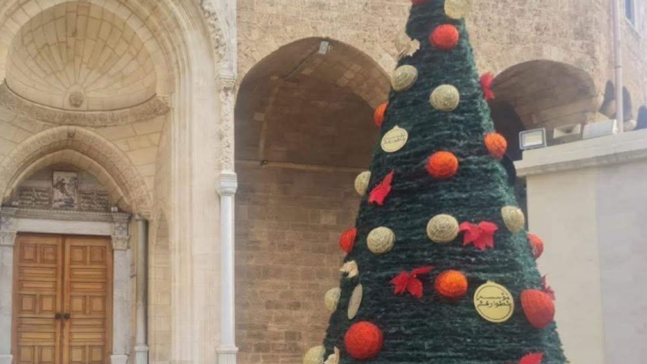 sapin tripoli
