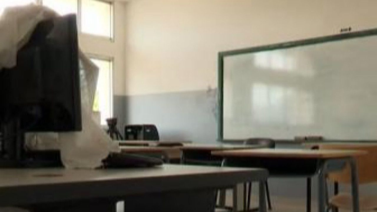 school