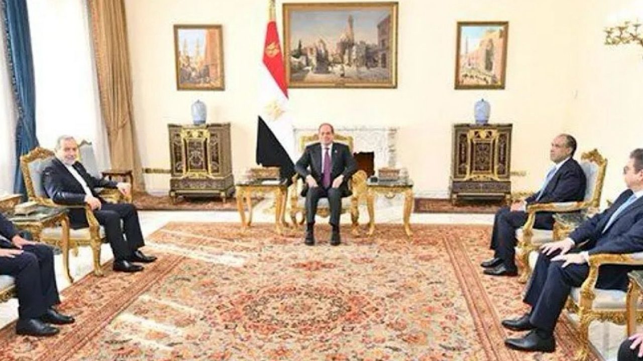 sisi arakji