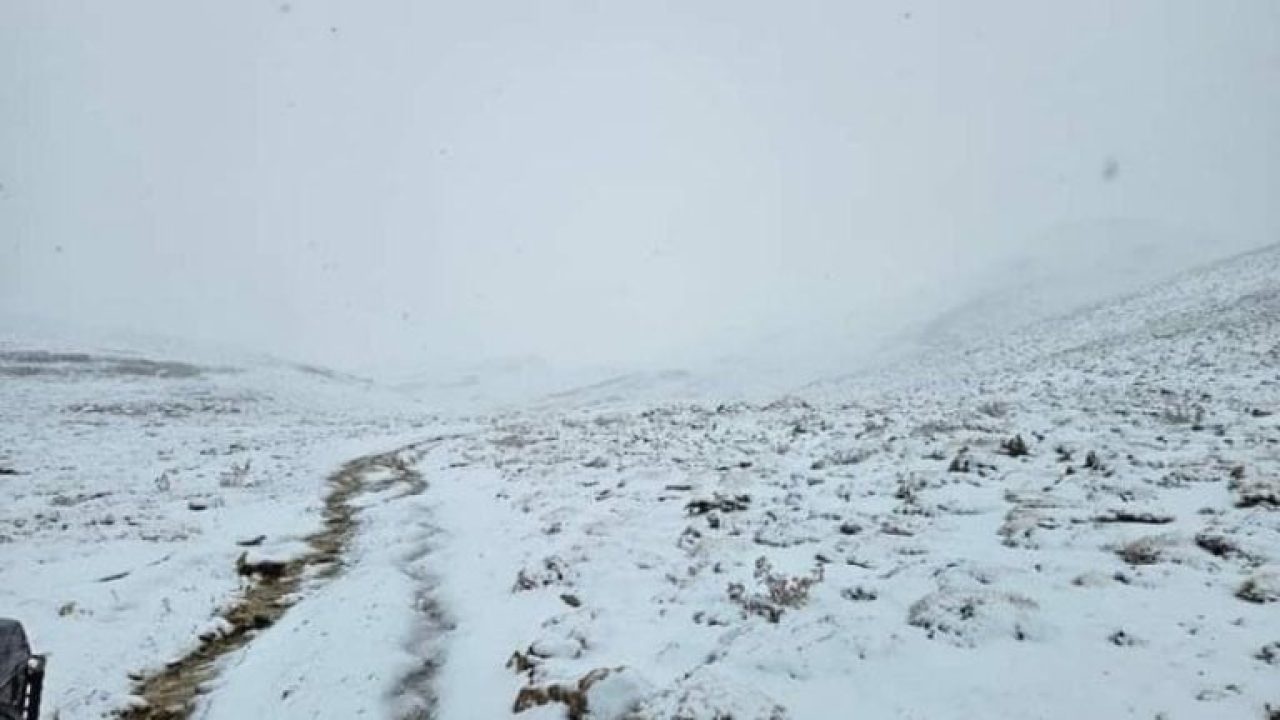 snow