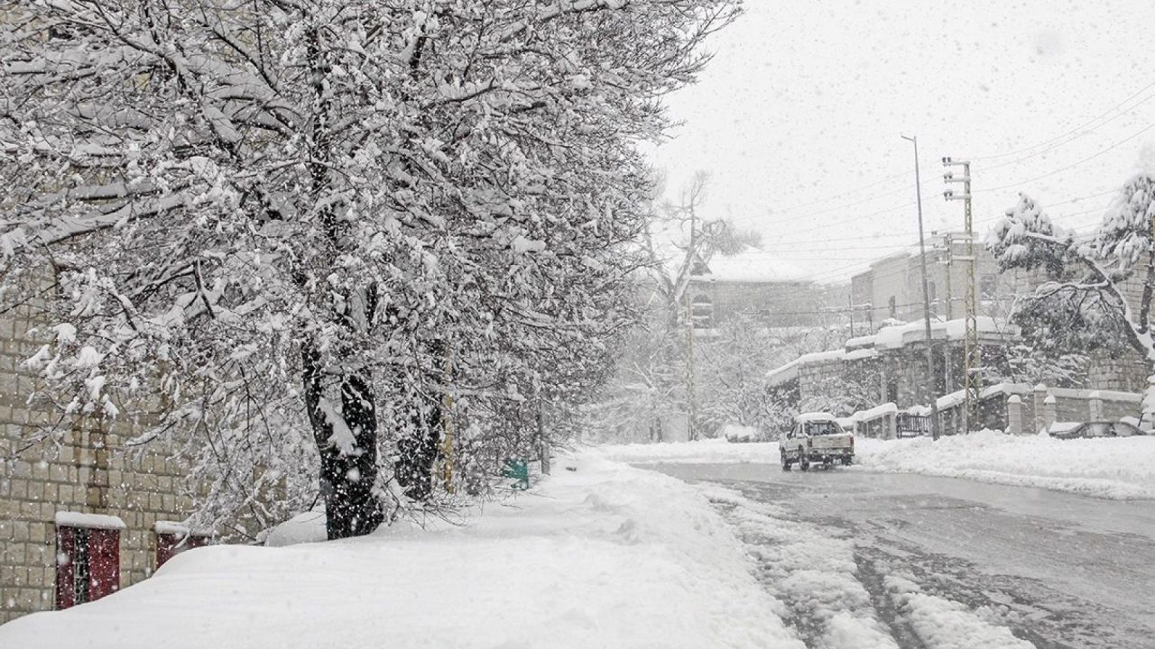 talej-newpic-qj3yxpugqgmjxo7tniukldz0ed7u92m8co2xdmx734