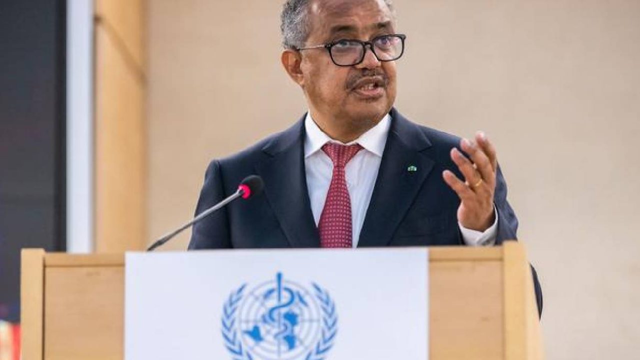 tedros gibrisos